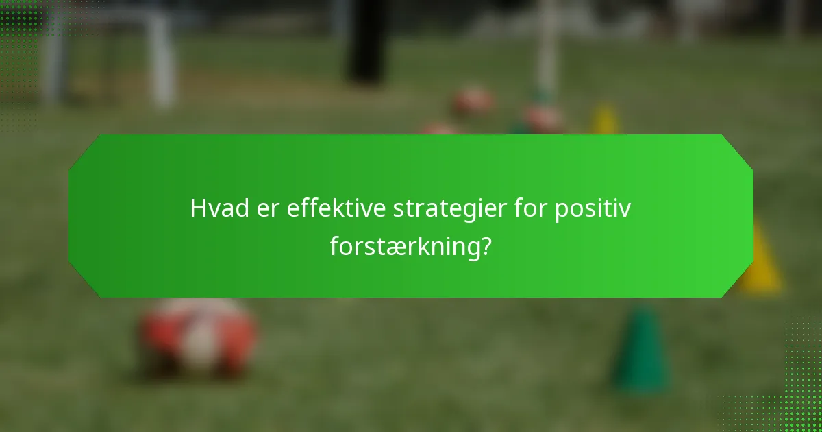 Hvad er effektive strategier for positiv forstærkning?