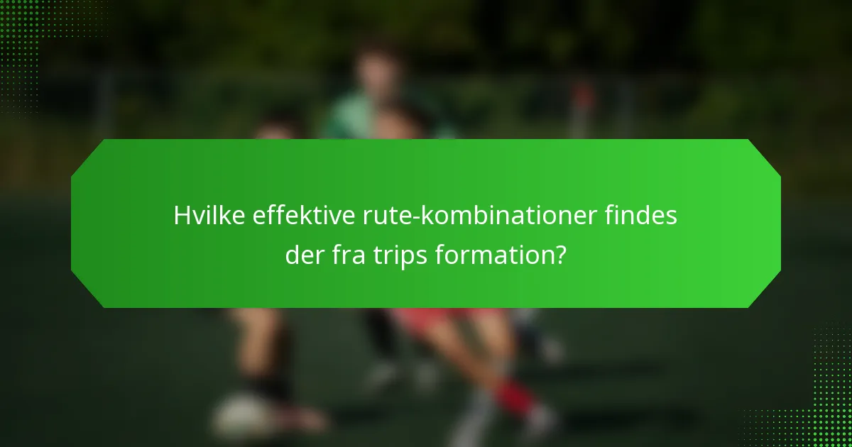 Hvilke effektive rute-kombinationer findes der fra trips formation?