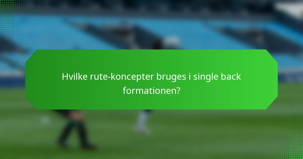 Hvilke rute-koncepter bruges i single back formationen?
